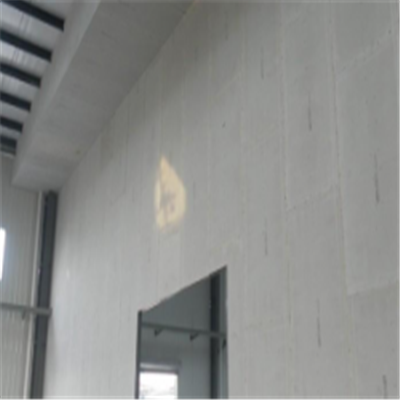 宝兴新型建筑材料掺多种工业废渣的ALC|ACC|FPS模块板材轻质隔墙板